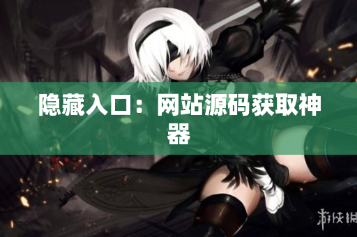 隐藏入口：网站源码获取神器