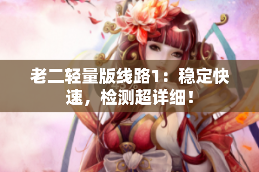 老二轻量版线路1：稳定快速，检测超详细！