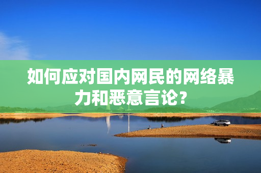 如何应对国内网民的网络暴力和恶意言论？