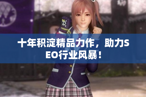 十年积淀精品力作，助力SEO行业风暴！