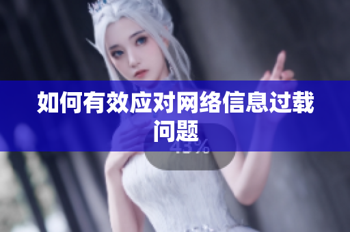 如何有效应对网络信息过载问题