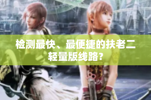 检测最快、最便捷的扶老二轻量版线路？