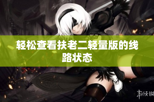 轻松查看扶老二轻量版的线路状态
