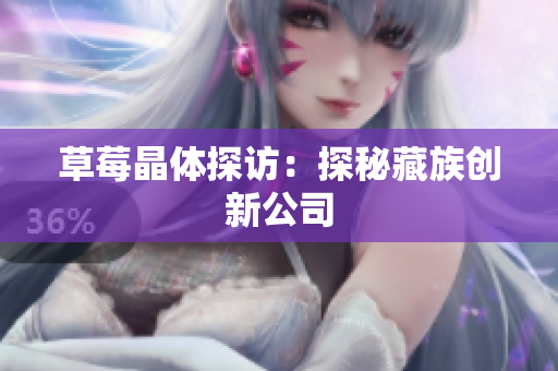 草莓晶体探访：探秘藏族创新公司