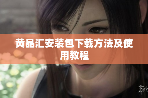 黄品汇安装包下载方法及使用教程