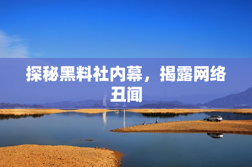 探秘黑料社内幕，揭露网络丑闻