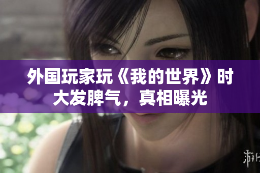 外国玩家玩《我的世界》时大发脾气，真相曝光