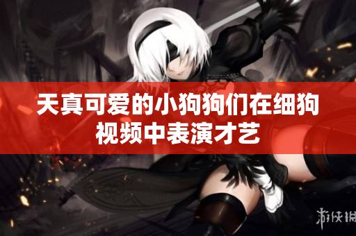 天真可爱的小狗狗们在细狗视频中表演才艺