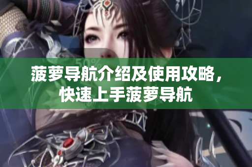 菠萝导航介绍及使用攻略，快速上手菠萝导航