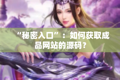 “秘密入口”：如何获取成品网站的源码？