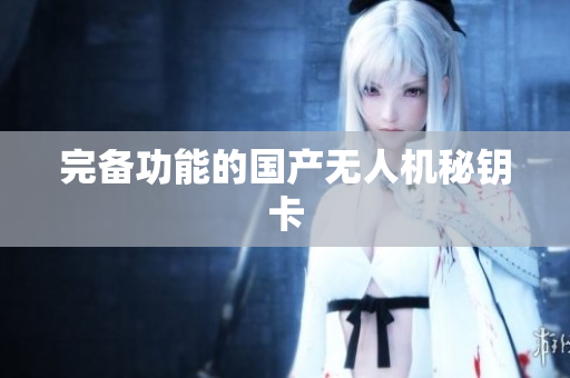完备功能的国产无人机秘钥卡