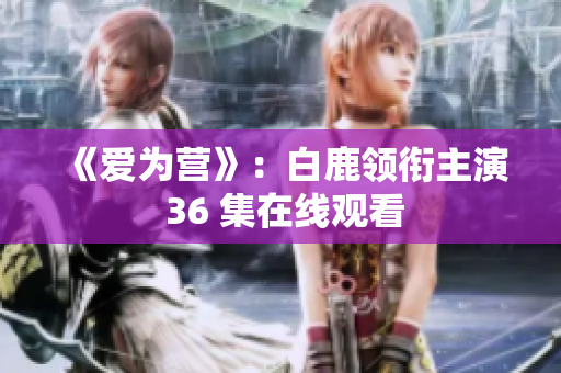 《爱为营》：白鹿领衔主演 36 集在线观看