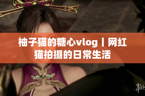 柚子猫的糖心vlog丨网红猫拍摄的日常生活