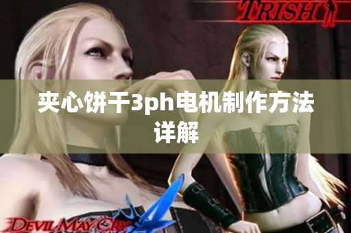 夹心饼干3ph电机制作方法详解