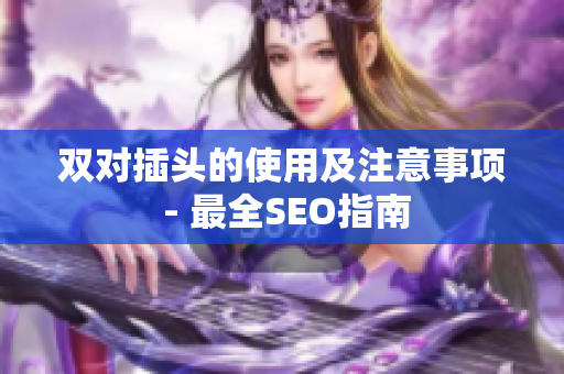 双对插头的使用及注意事项 - 最全SEO指南