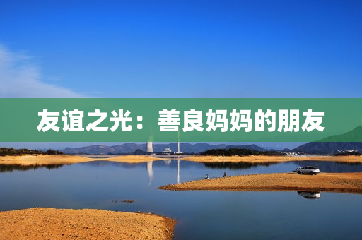 友谊之光：善良妈妈的朋友