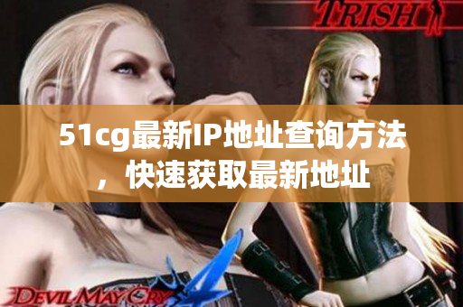51cg最新IP地址查询方法，快速获取最新地址
