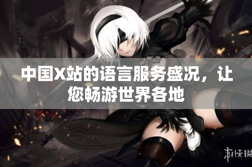 中国X站的语言服务盛况，让您畅游世界各地