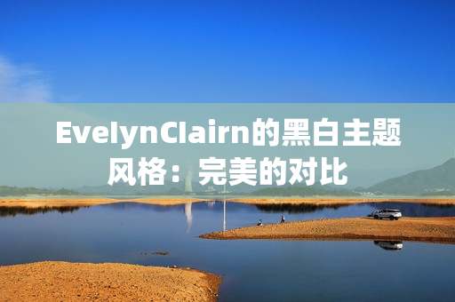 EveIynCIairn的黑白主题风格：完美的对比