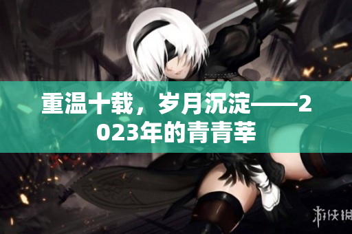 重温十载，岁月沉淀——2023年的青青莘