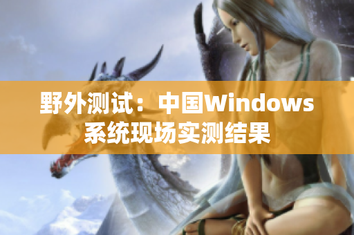 野外测试：中国Windows系统现场实测结果