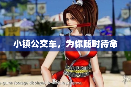 小镇公交车，为你随时待命