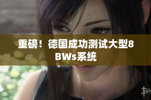 重磅！德国成功测试大型8BWs系统