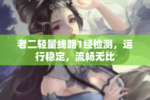 老二轻量线路1经检测，运行稳定，流畅无比