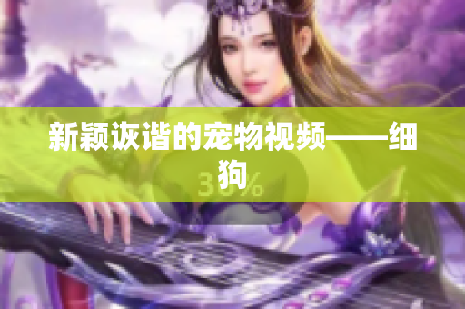 新颖诙谐的宠物视频——细狗