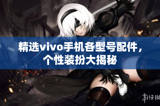 精选vivo手机各型号配件，个性装扮大揭秘