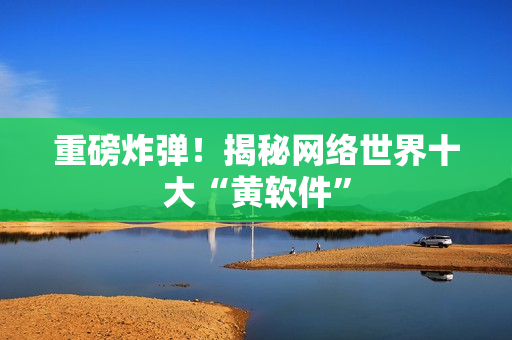 重磅炸弹！揭秘网络世界十大“黄软件”