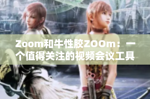 Zoom和牛性胶ZOOm：一个值得关注的视频会议工具
