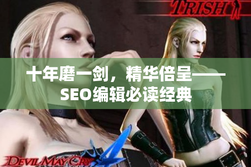 十年磨一剑，精华倍呈——SEO编辑必读经典