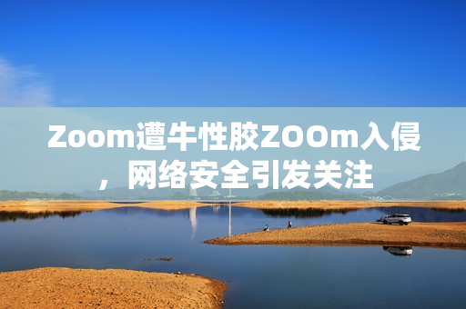 Zoom遭牛性胶ZOOm入侵，网络安全引发关注