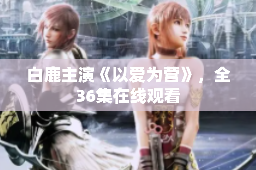 白鹿主演《以爱为营》，全36集在线观看