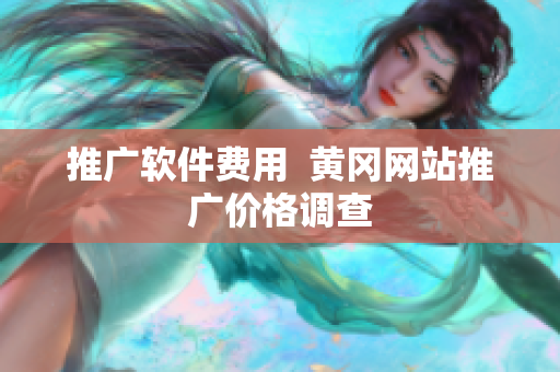 推广软件费用  黄冈网站推广价格调查