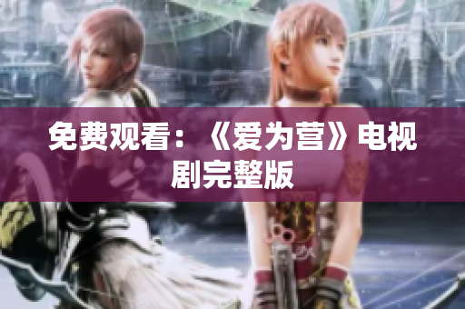 免费观看：《爱为营》电视剧完整版