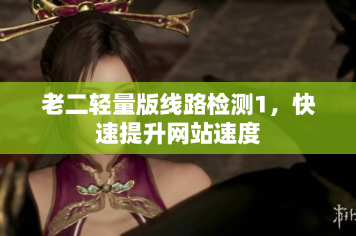 老二轻量版线路检测1，快速提升网站速度