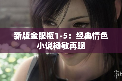 新版金银瓶1-5：经典情色小说杨敏再现