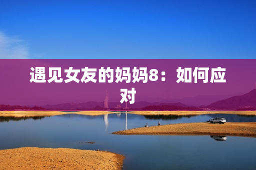 遇见女友的妈妈8：如何应对