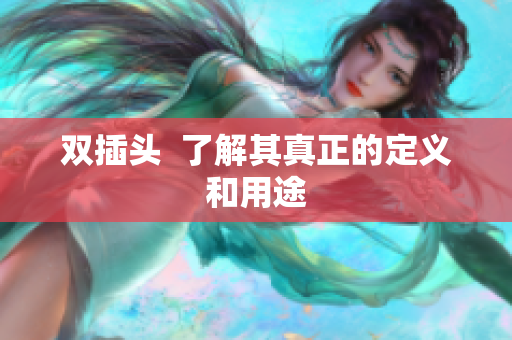 双插头  了解其真正的定义和用途