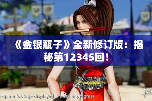 《金银瓶子》全新修订版：揭秘第12345回！