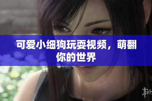 可爱小细狗玩耍视频，萌翻你的世界