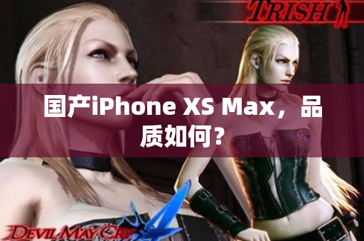 国产iPhone XS Max，品质如何？