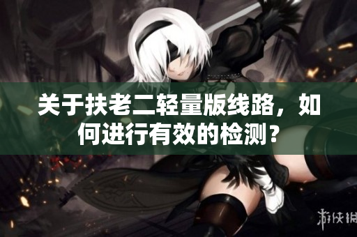 关于扶老二轻量版线路，如何进行有效的检测？