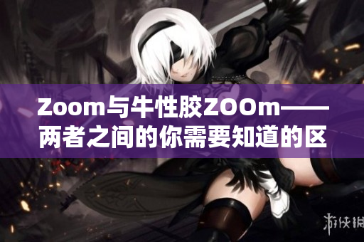 Zoom与牛性胶ZOOm——两者之间的你需要知道的区别