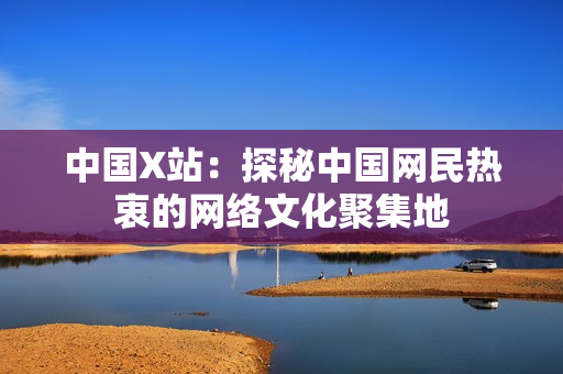中国X站：探秘中国网民热衷的网络文化聚集地