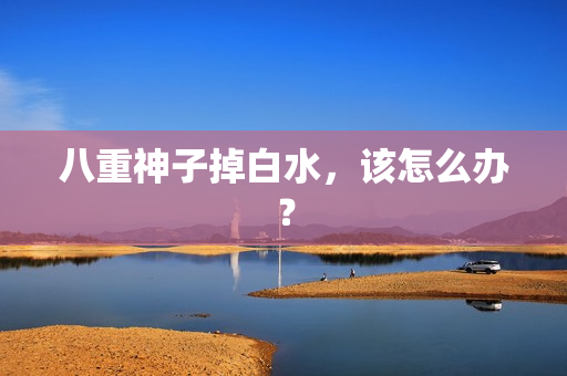 八重神子掉白水，该怎么办？