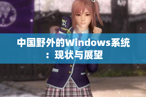 中国野外的Windows系统：现状与展望