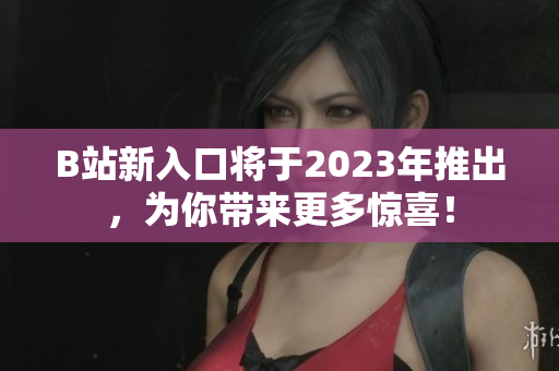B站新入口将于2023年推出，为你带来更多惊喜！